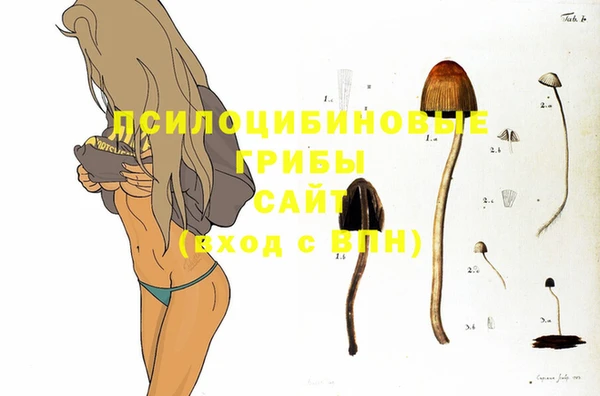круглые Иннополис