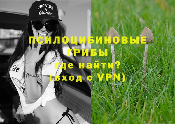 круглые Иннополис