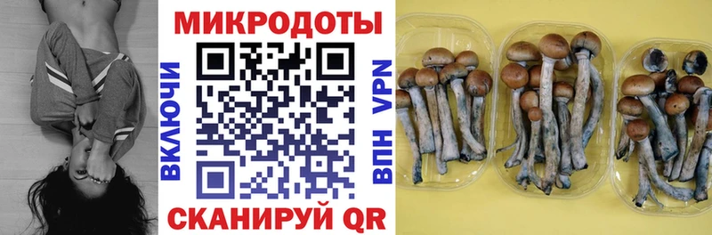 Купить где  Камень-на-Оби  Псилоцибиновые грибы ЛСД 